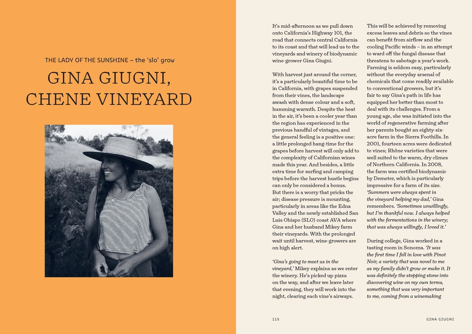 Natural Wine No Drama: An Unpretentious Guide