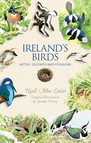 Ireland's Wild Birds: Myths, Legends and Folklore