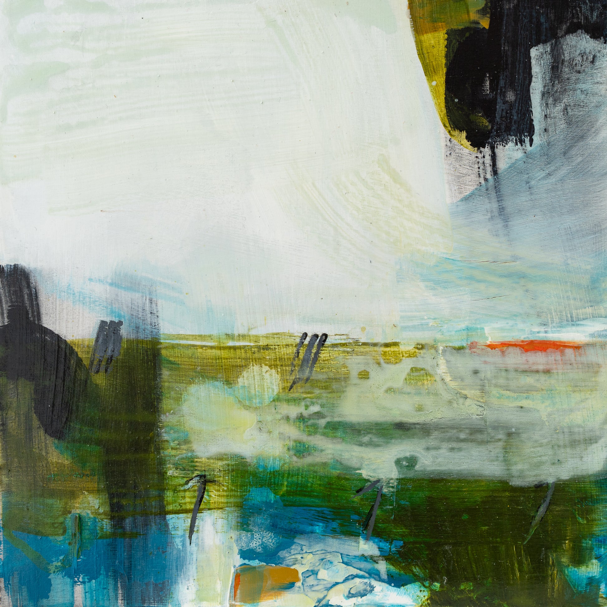 Louise Shearer | 'The Memory of Water'