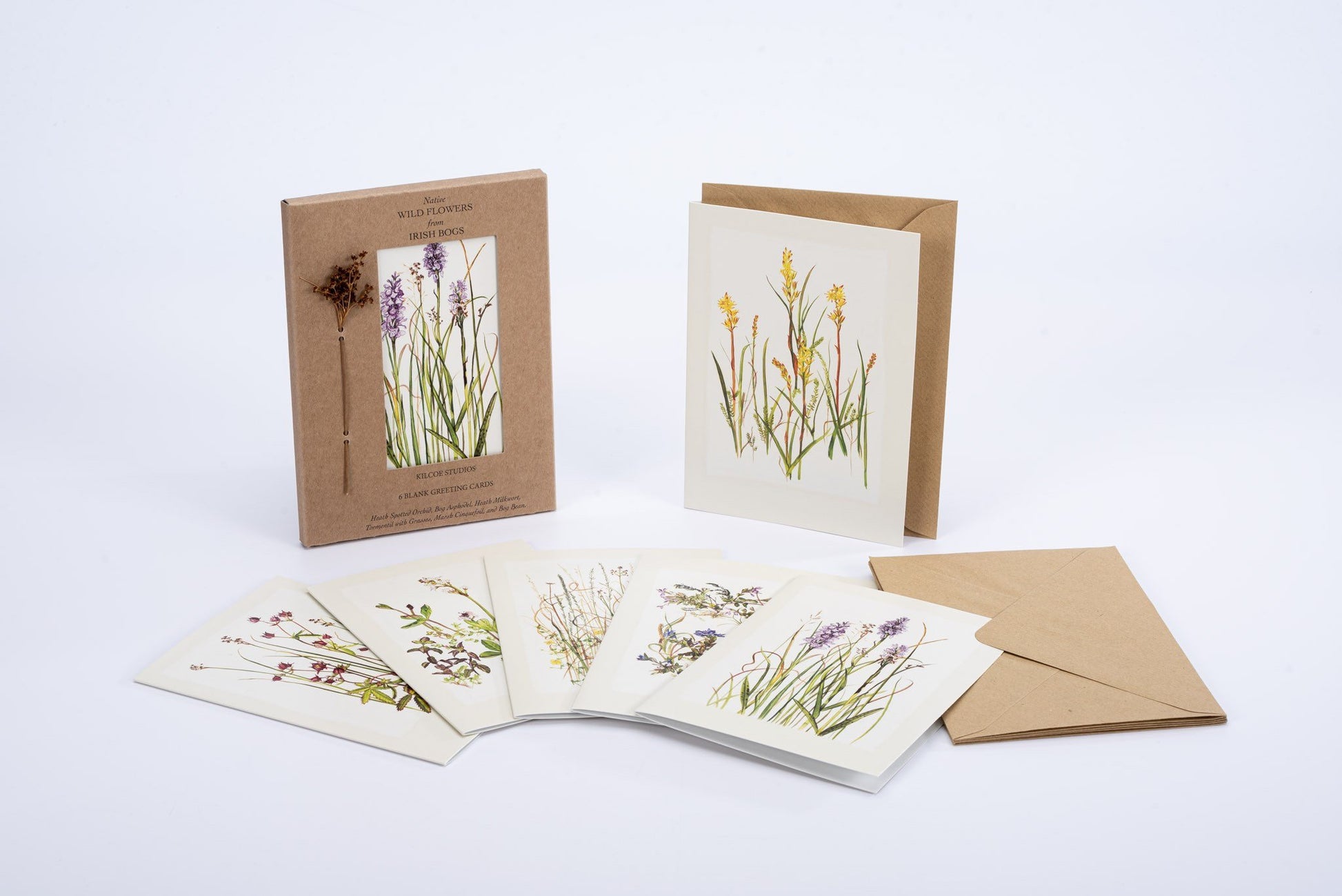 Kilcoe Studios Greeting Cards | Native Bog Flowers | 6 pack