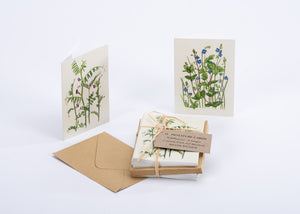 Greeting Card | Kilcoe Studios Botanical - Wildflower Miniature Cards 12 pack