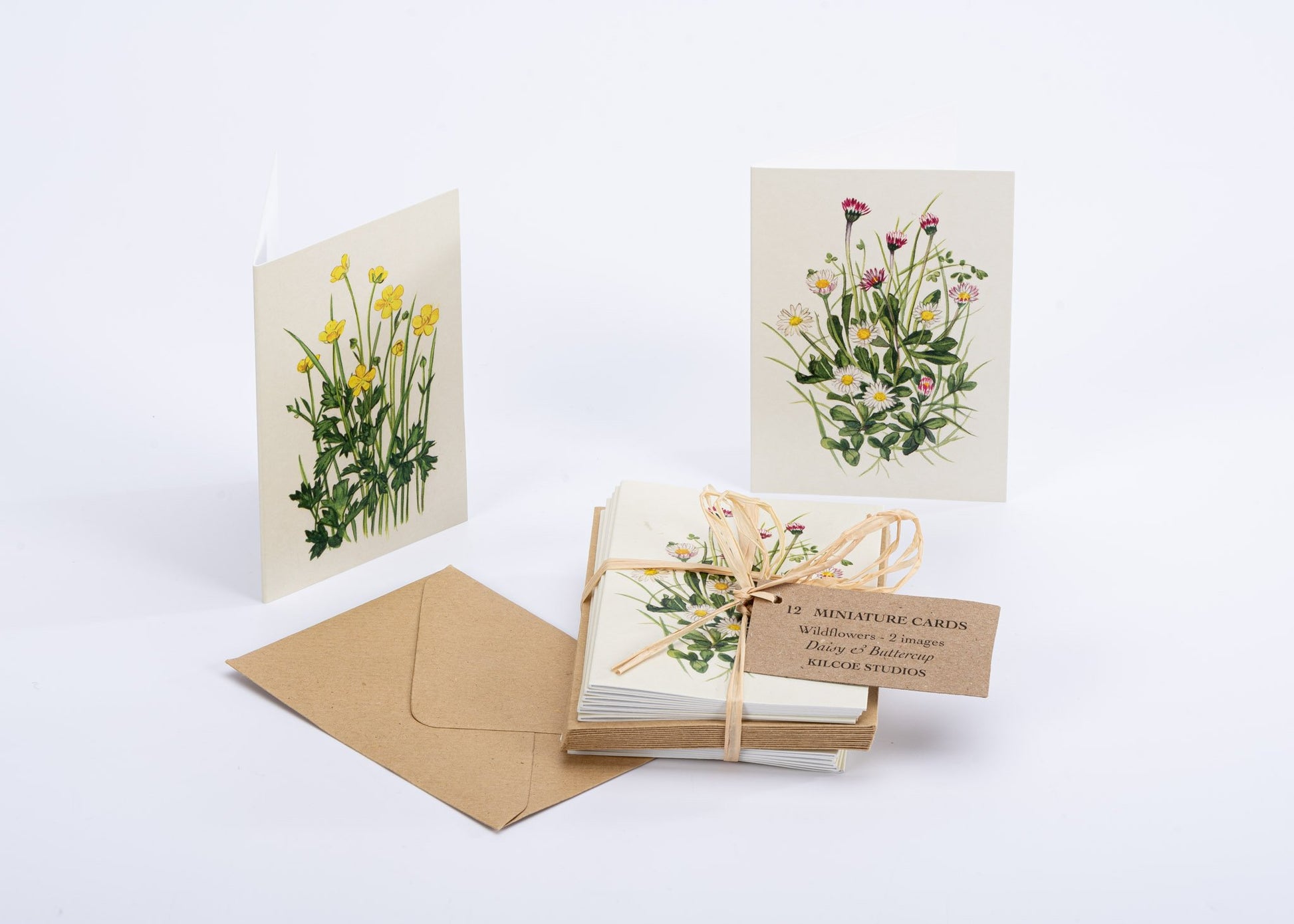 Kilcoe Studios Greeting Cards | Miniature Wildflowers | 6 pack
