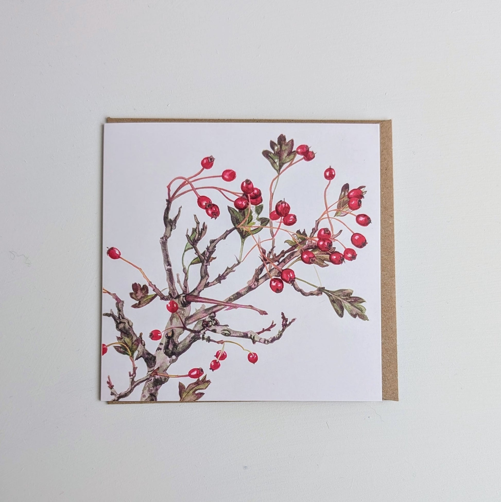 Kilcoe Studios Greeting Card | Hawthorn Berries