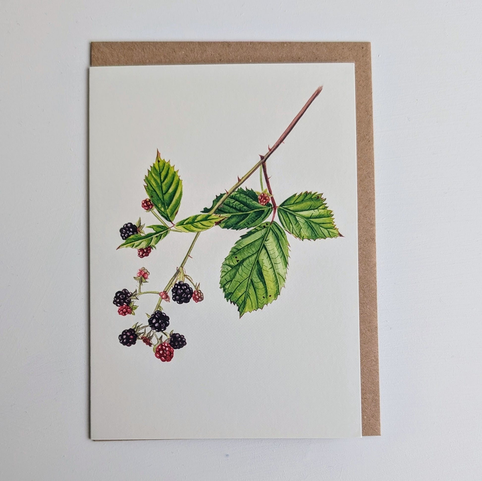 Kilcoe Studios Greeting Card | Blackberry