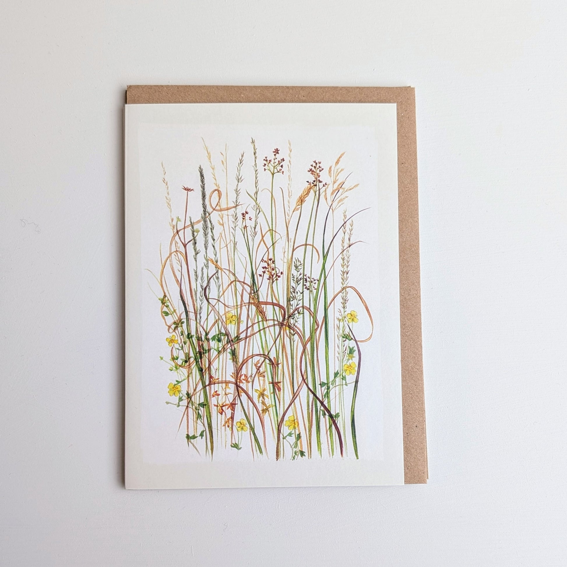 Kilcoe Studios Greeting Card | Wild Grasses, Rushes and the Tormentil Flower