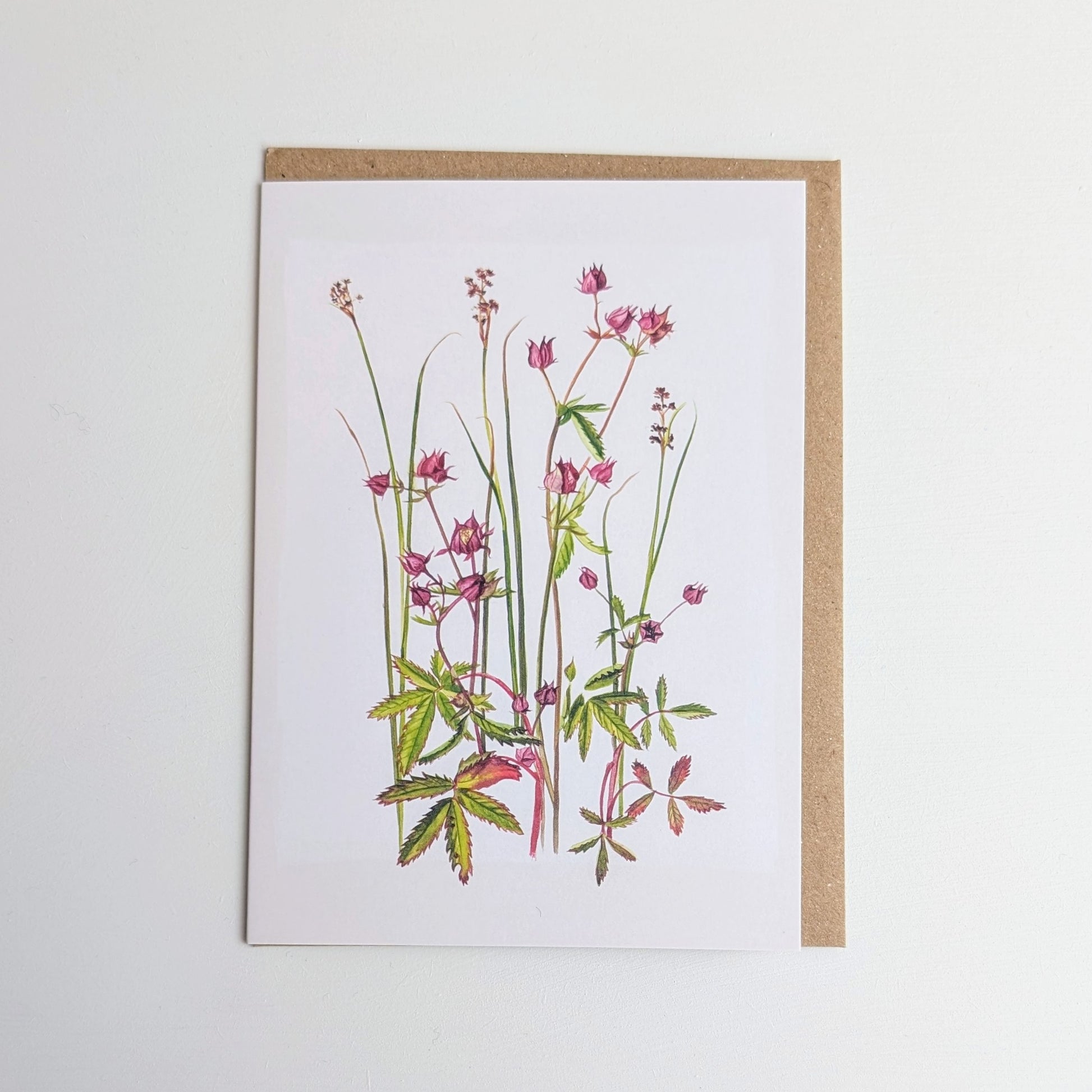 Kilcoe Studios Greeting Card | Marsh Cinquefoil