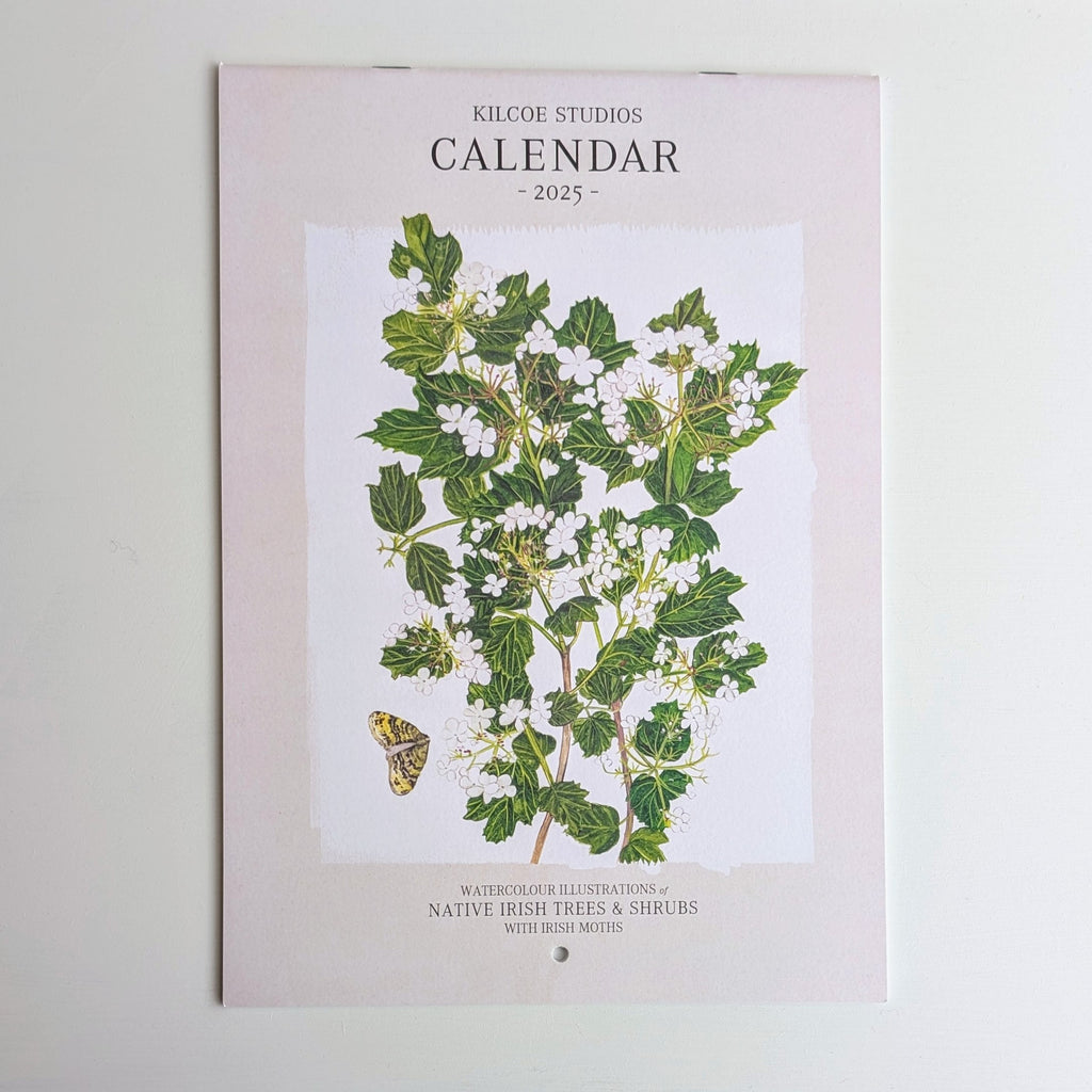 Kilcoe Studios | Calendar 2026 | Irish Wildflowers