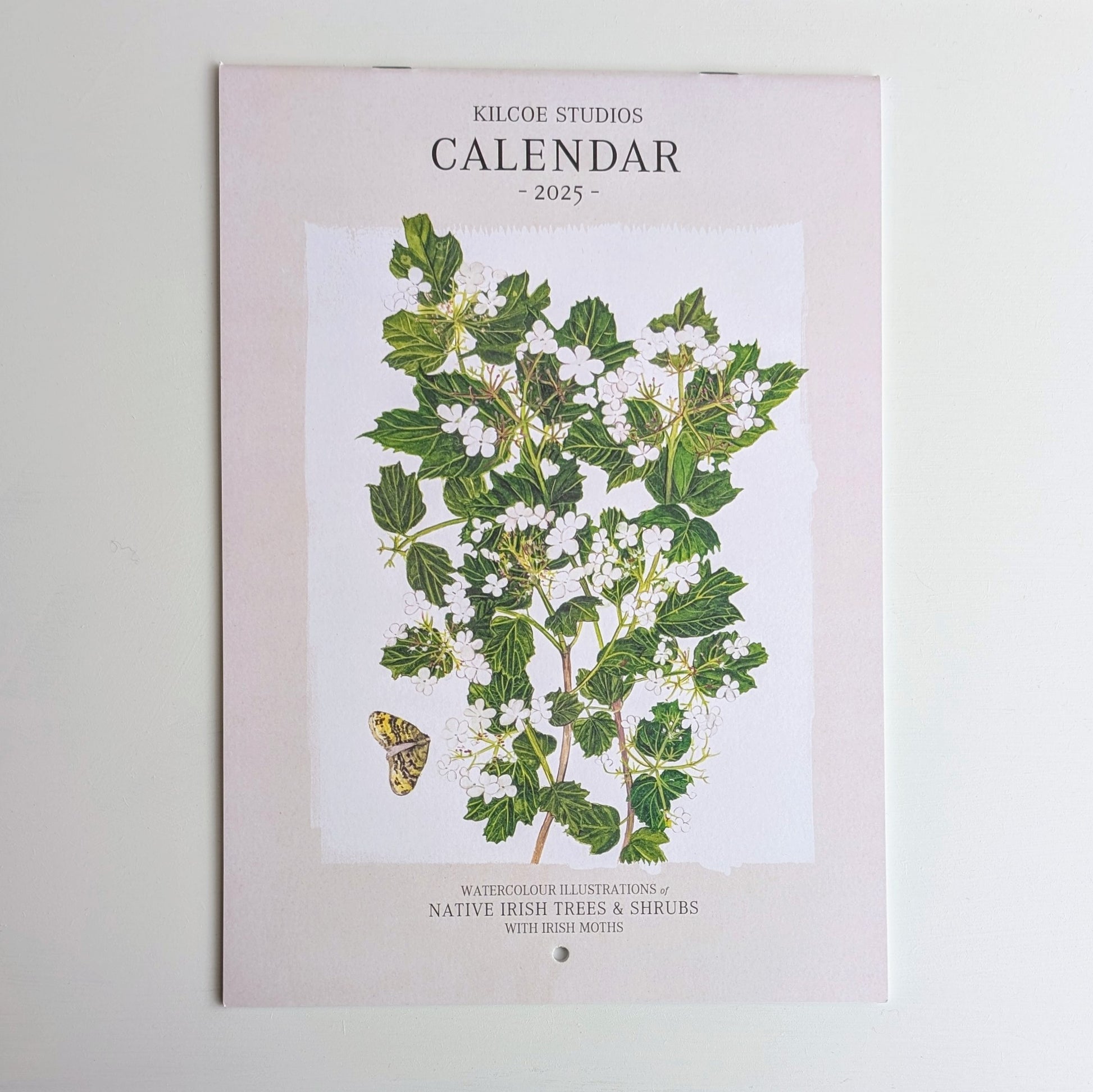 Kilcoe Studios | Calendar 2026 | Irish Wildflowers