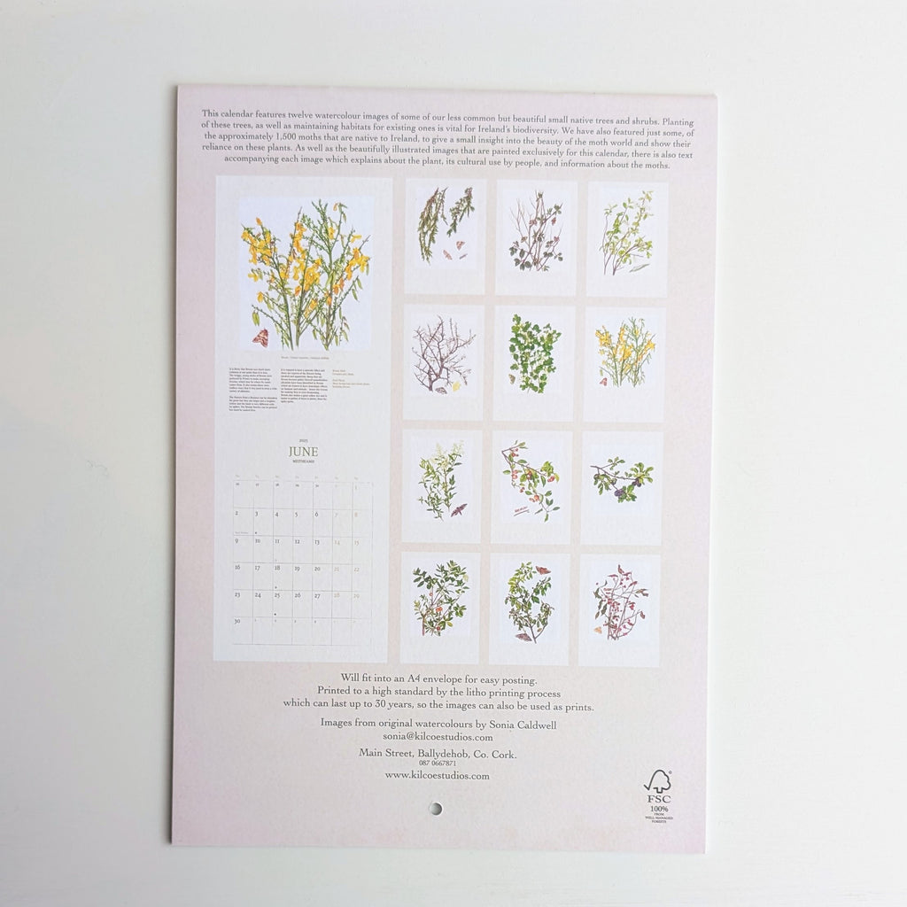 Kilcoe Studios | Calendar 2026 | Irish Wildflowers