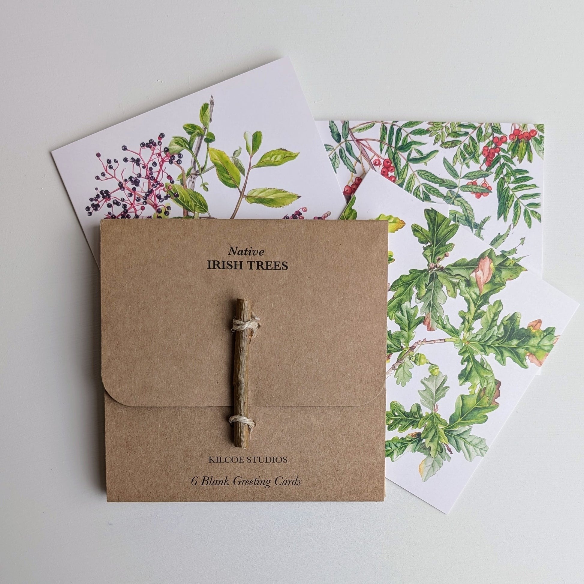Kilcoe Studios Greeting Cards | Native Irish Trees | 6 Pack