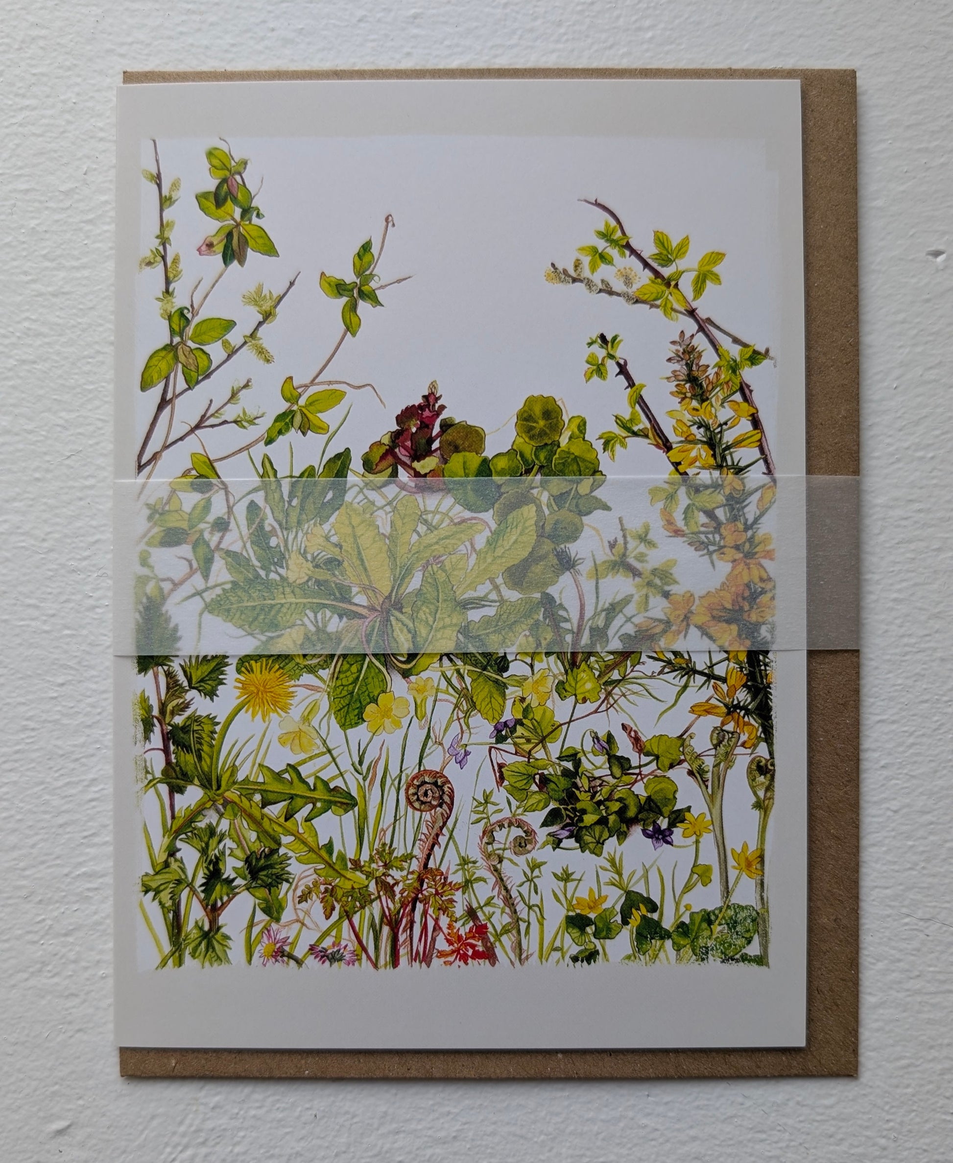 Kilcoe Studios Greeting Card | Spring Botanical