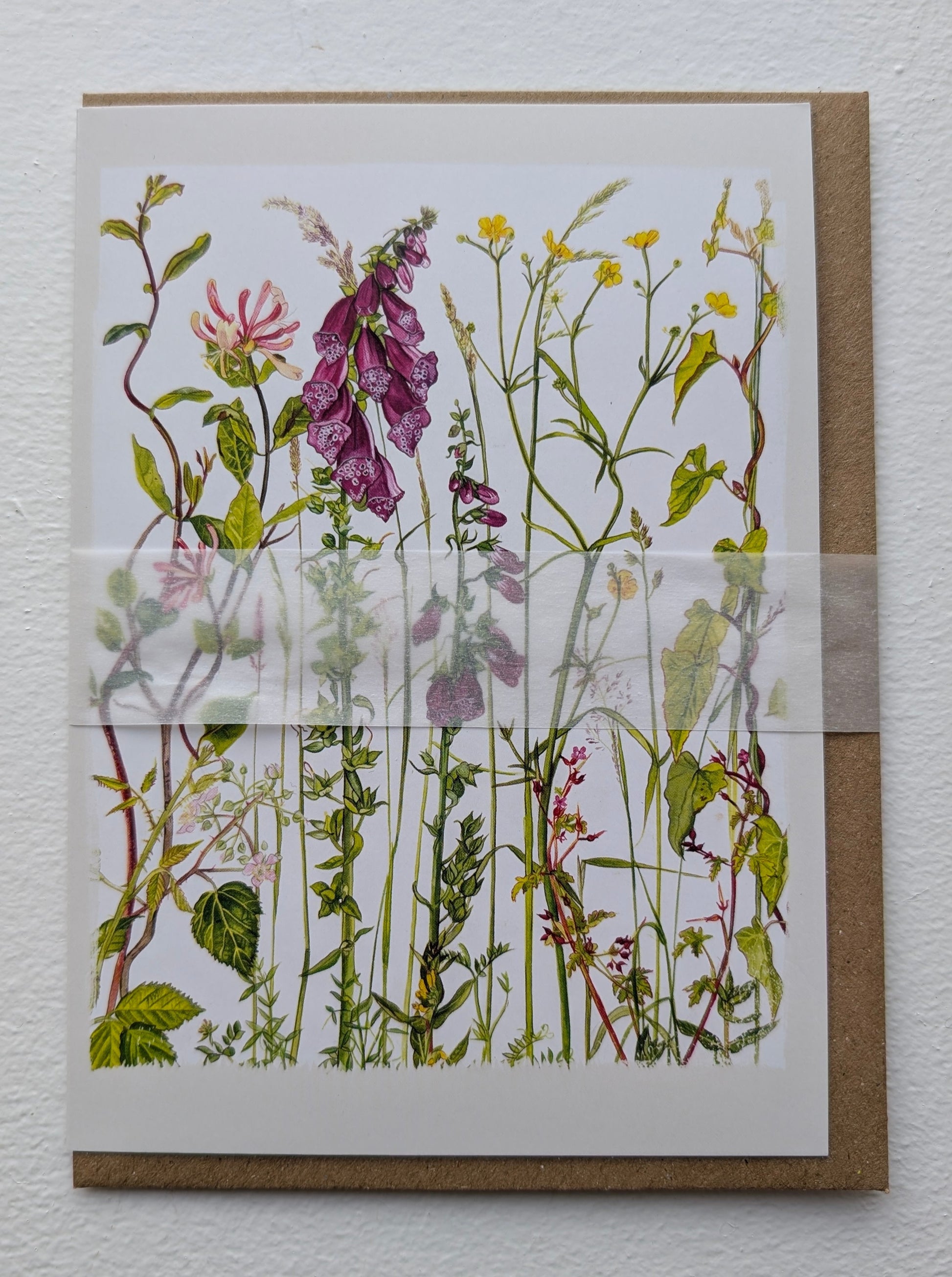 Kilcoe Studios Greeting Card | Summer Botanical