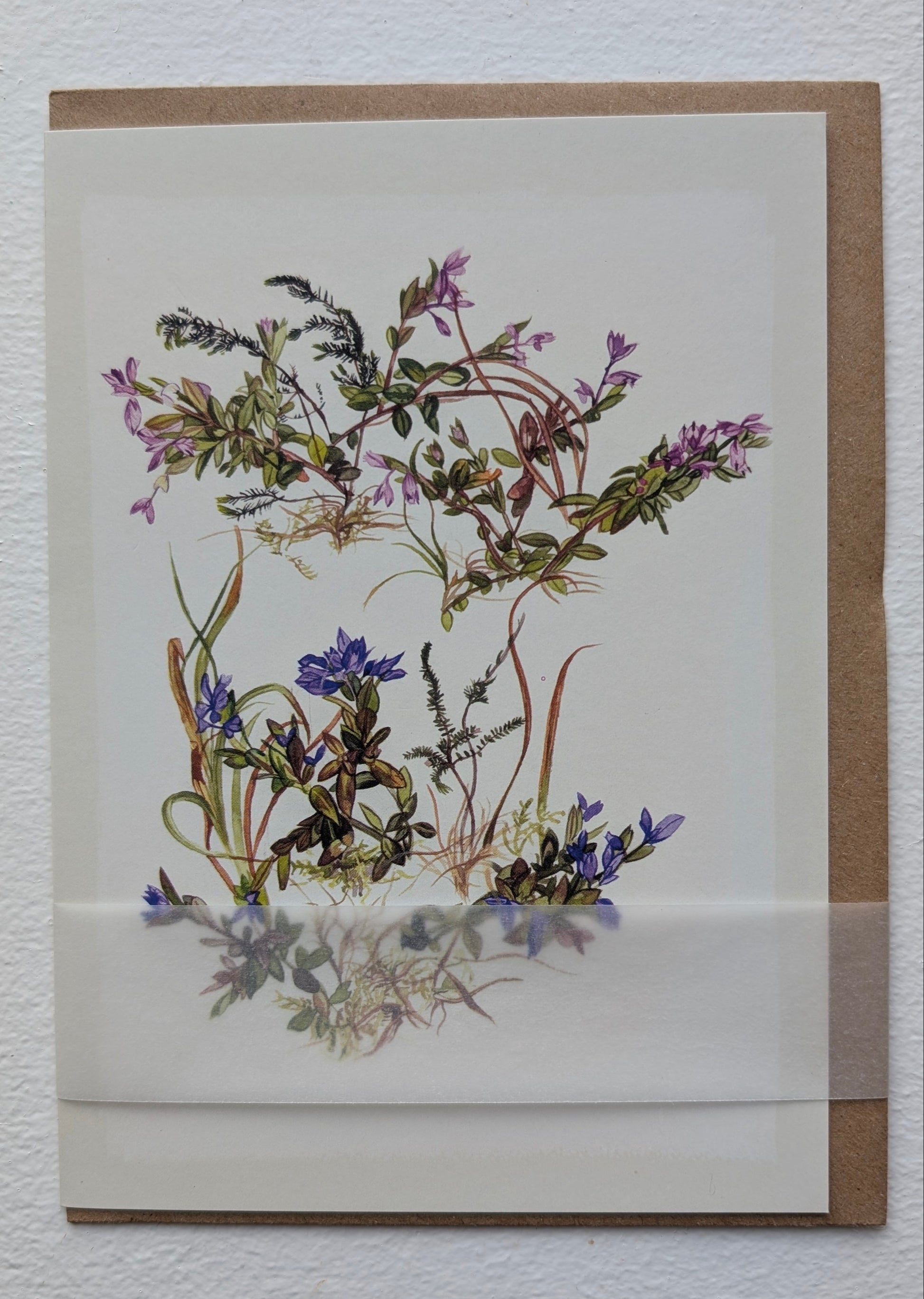 Kilcoe Studios Greeting Card | Milkwort