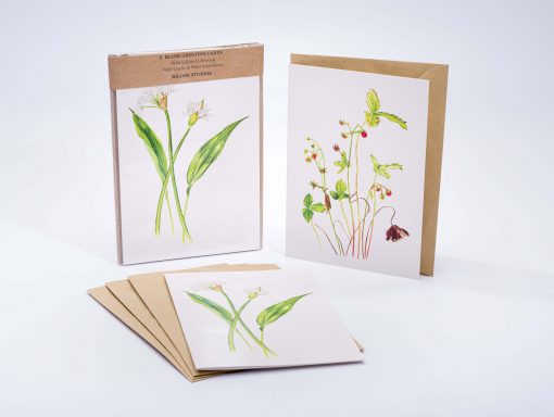 Kilcoe Studios Greeting Cards | Miniature Plants | 6 pack