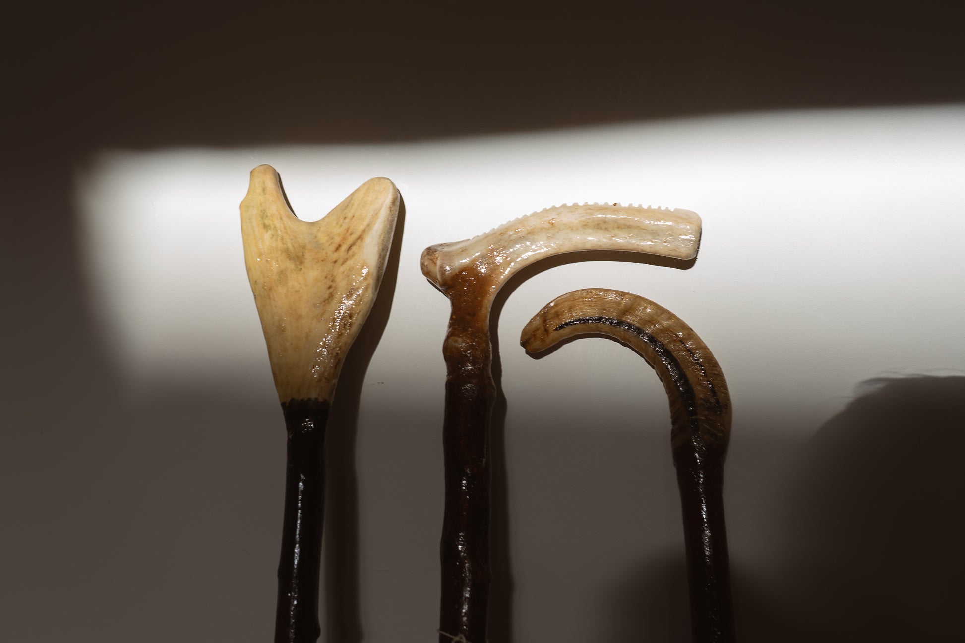 Albert Gardiner | Blackthorn & Shillelagh Sticks