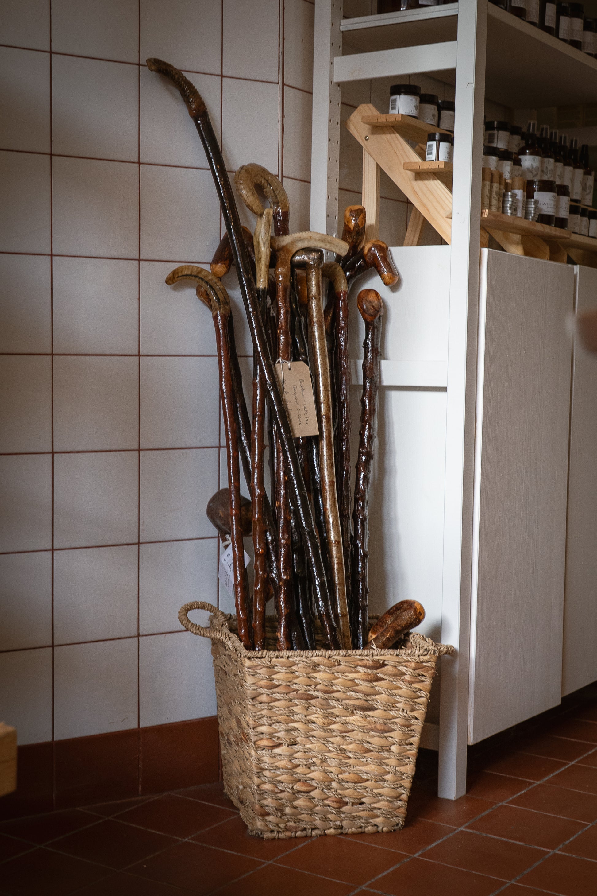 Albert Gardiner | Blackthorn & Shillelagh Sticks