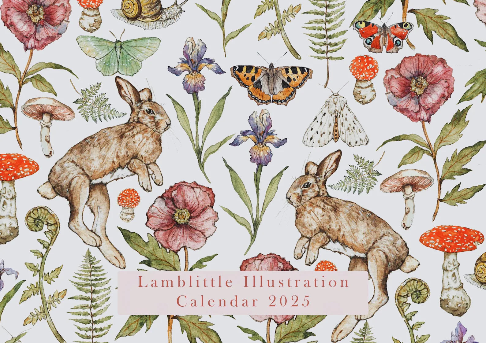 Lamb Little Calendar / 2025