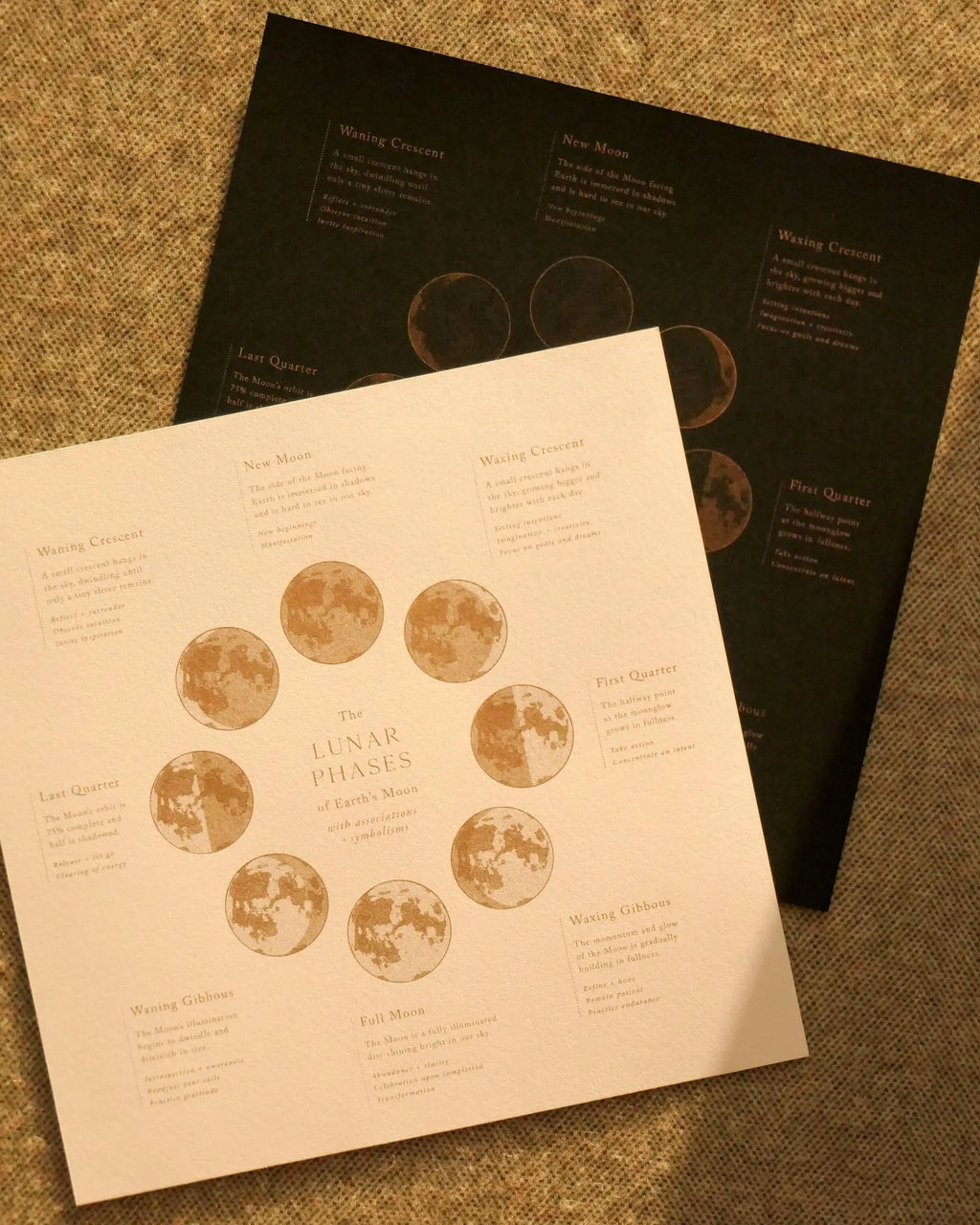 Kerry Prendiville | Phases of Earth's Moon